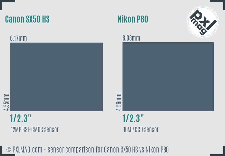 Canon SX50 HS vs Nikon P80 sensor size comparison