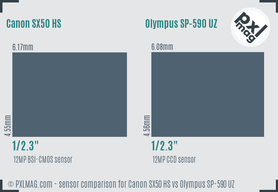 Canon SX50 HS vs Olympus SP-590 UZ sensor size comparison