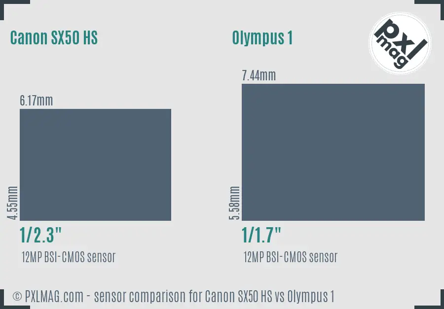 Canon SX50 HS vs Olympus 1 sensor size comparison