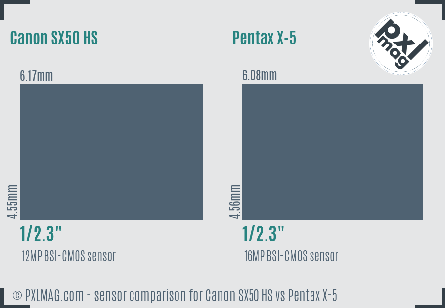 Canon SX50 HS vs Pentax X-5 sensor size comparison