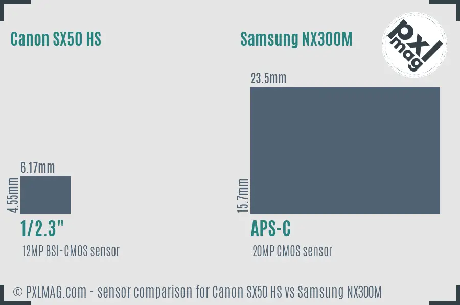 Canon SX50 HS vs Samsung NX300M sensor size comparison