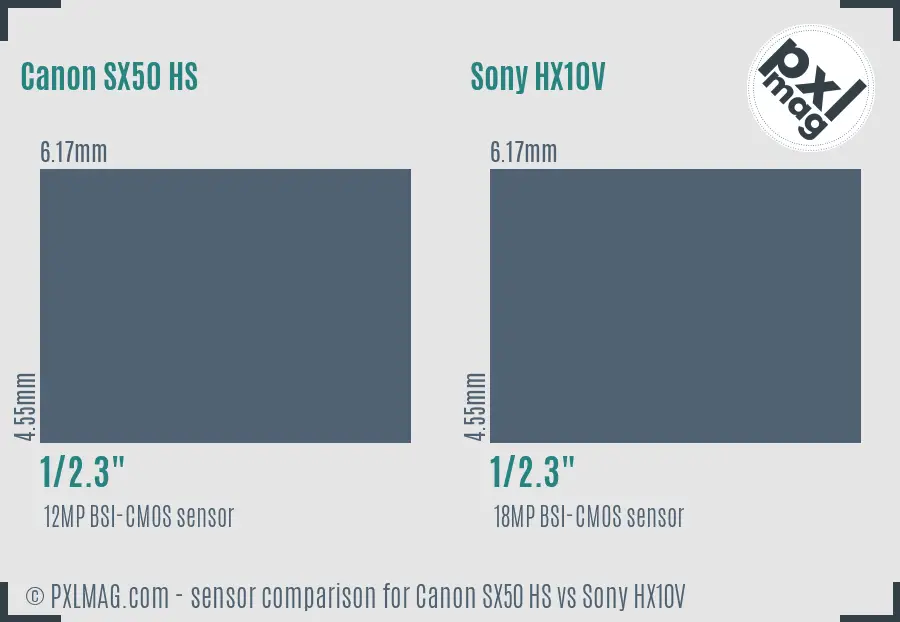 Canon SX50 HS vs Sony HX10V sensor size comparison