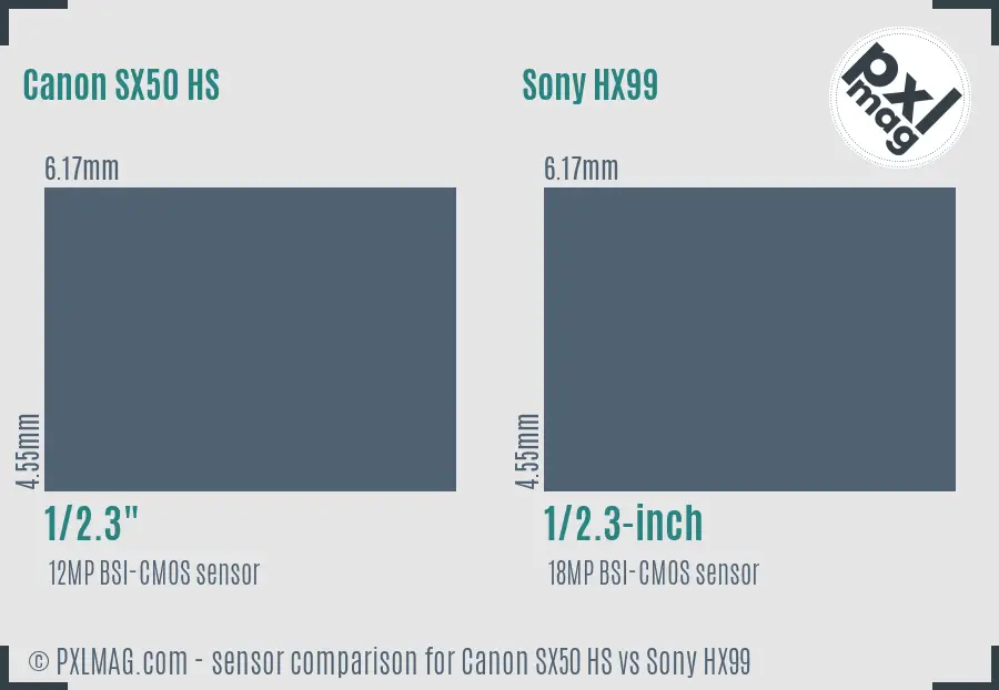 Canon SX50 HS vs Sony HX99 sensor size comparison