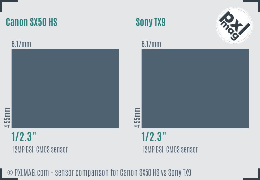 Canon SX50 HS vs Sony TX9 sensor size comparison