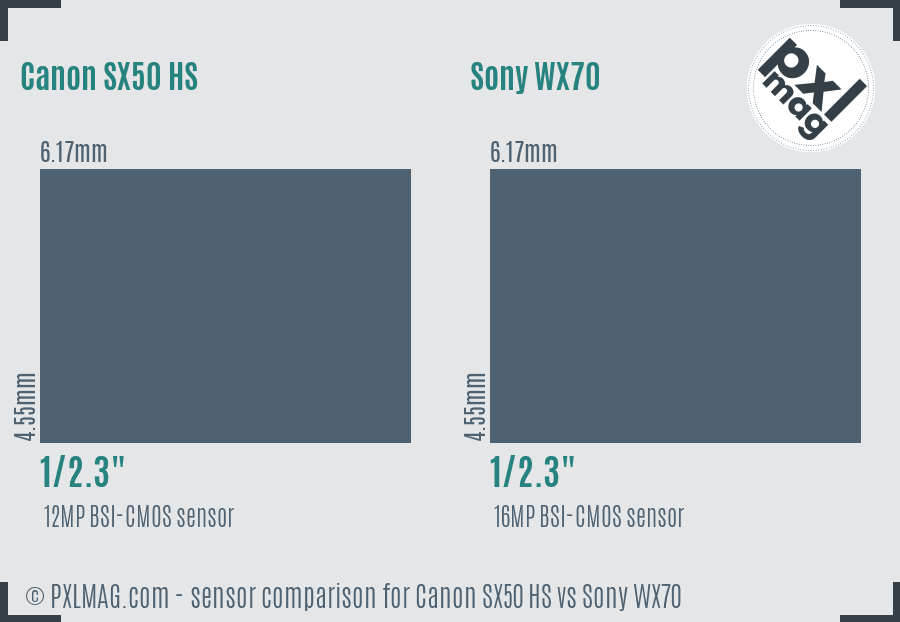 Canon SX50 HS vs Sony WX70 sensor size comparison