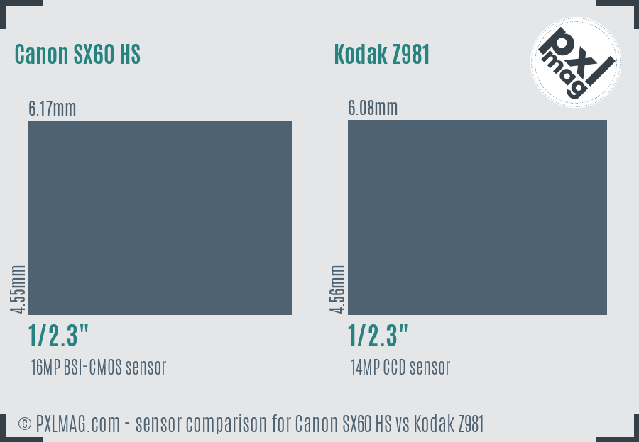 Canon SX60 HS vs Kodak Z981 sensor size comparison