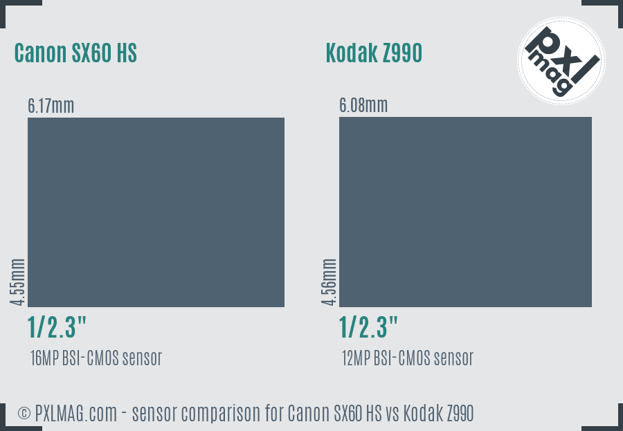 Canon SX60 HS vs Kodak Z990 sensor size comparison