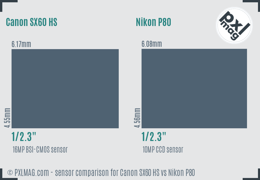 Canon SX60 HS vs Nikon P80 sensor size comparison