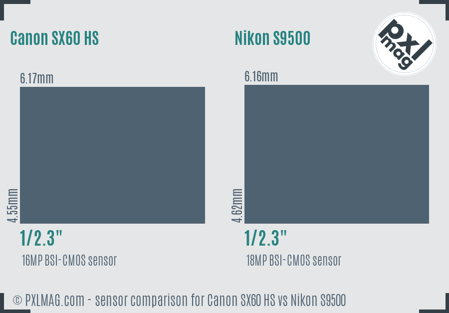 Canon SX60 HS vs Nikon S9500 sensor size comparison