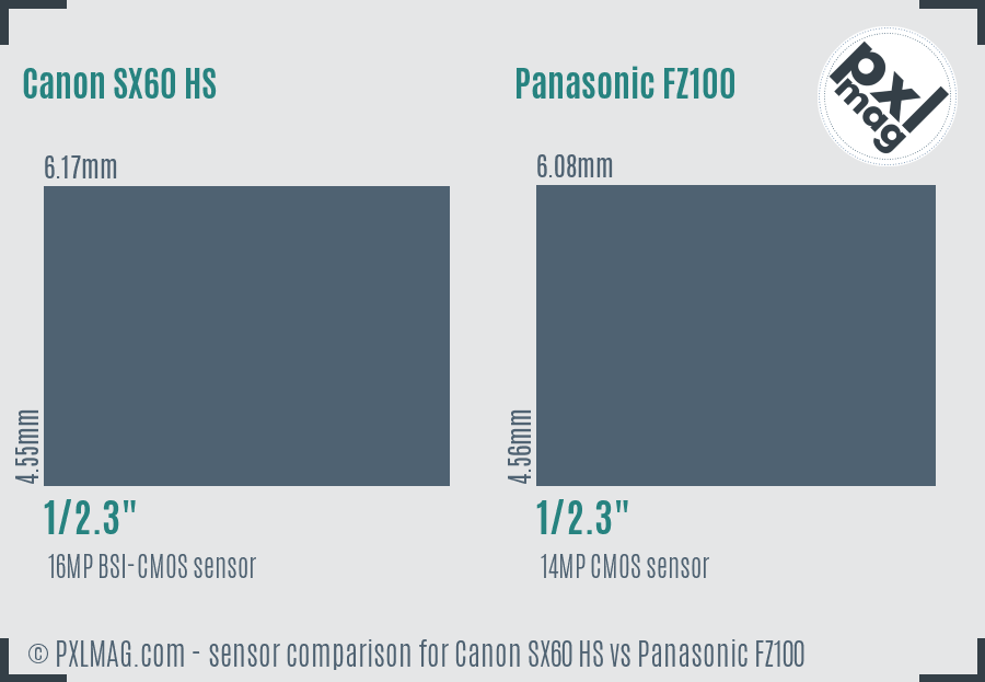 Canon SX60 HS vs Panasonic FZ100 sensor size comparison