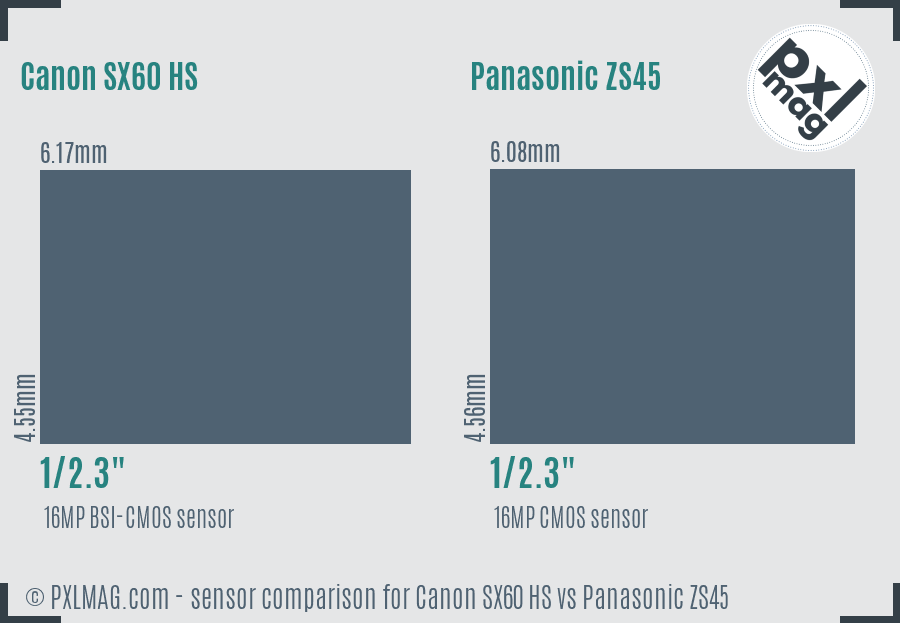 Canon SX60 HS vs Panasonic ZS45 sensor size comparison