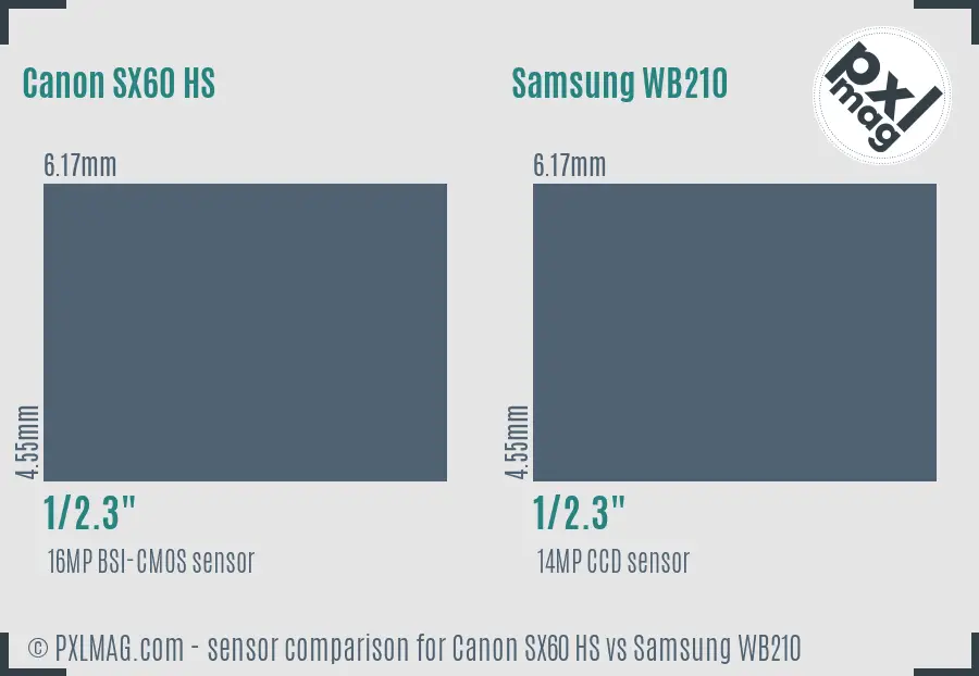 Canon SX60 HS vs Samsung WB210 sensor size comparison