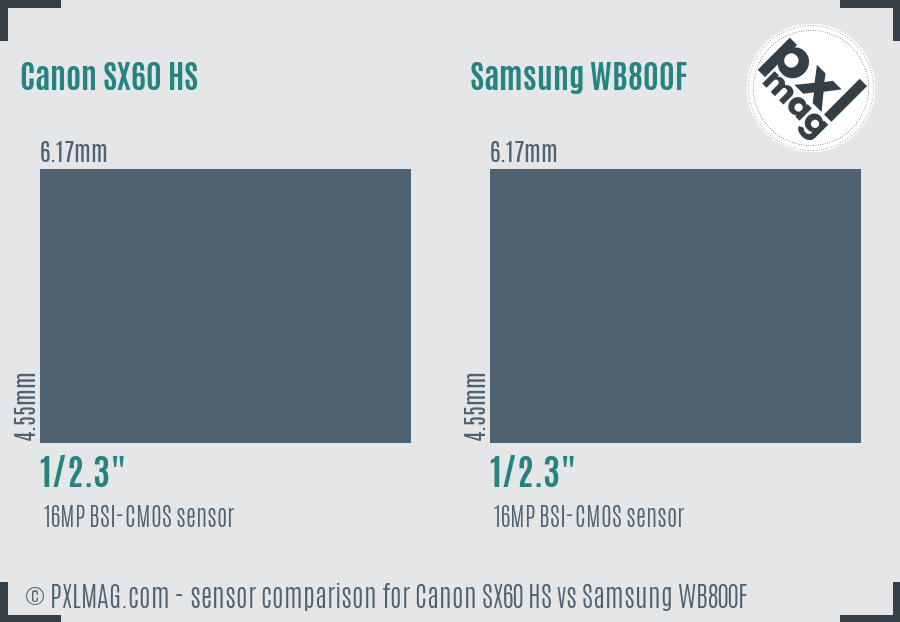 Canon SX60 HS vs Samsung WB800F sensor size comparison