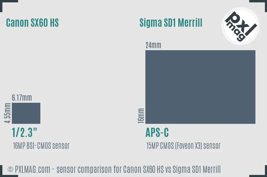 Canon SX60 HS vs Sigma SD1 Merrill sensor size comparison