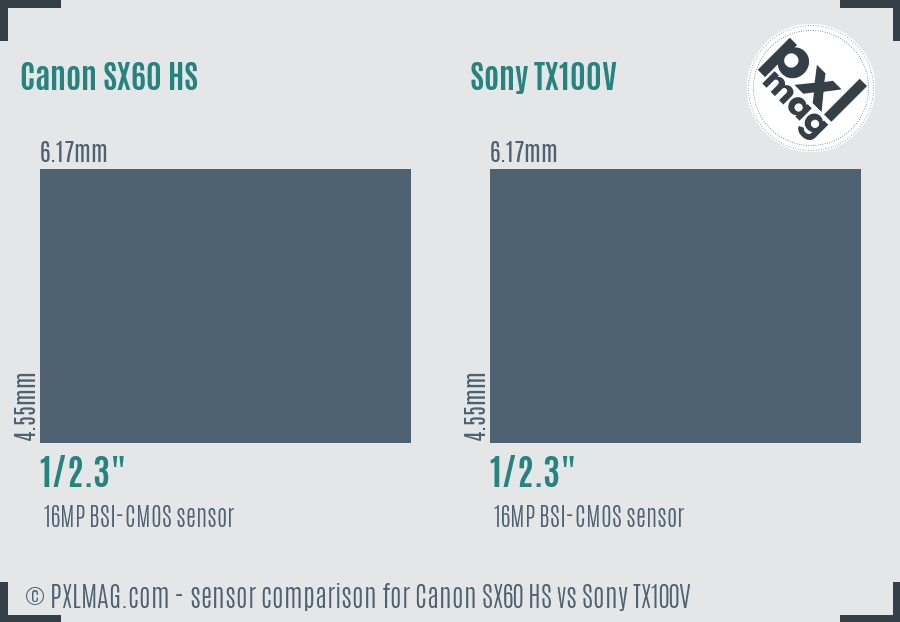 Canon SX60 HS vs Sony TX100V sensor size comparison