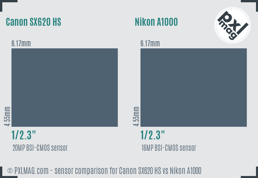 Canon SX620 HS vs Nikon A1000 sensor size comparison