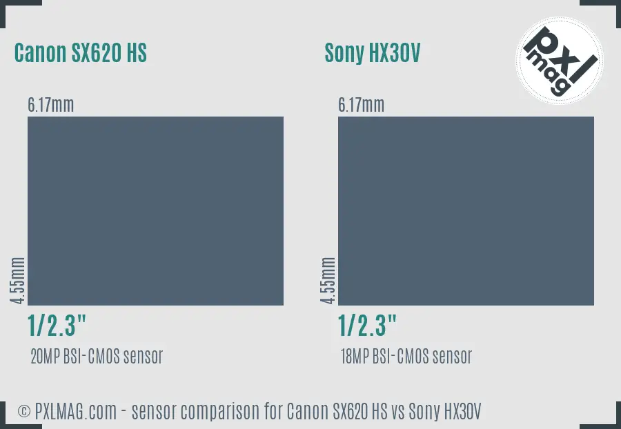 Canon SX620 HS vs Sony HX30V sensor size comparison