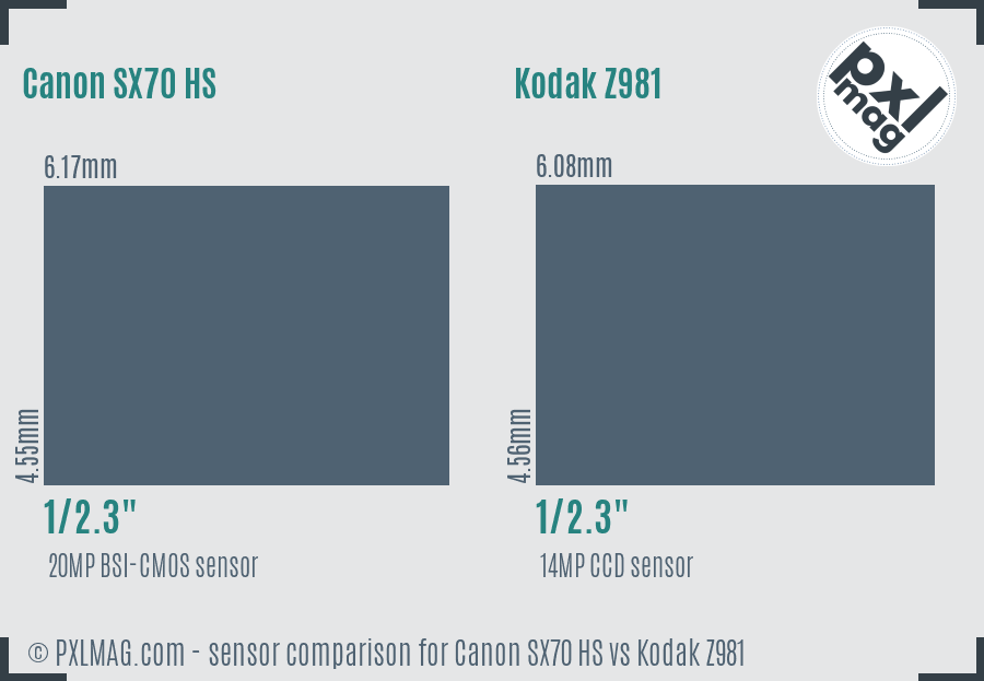 Canon SX70 HS vs Kodak Z981 sensor size comparison