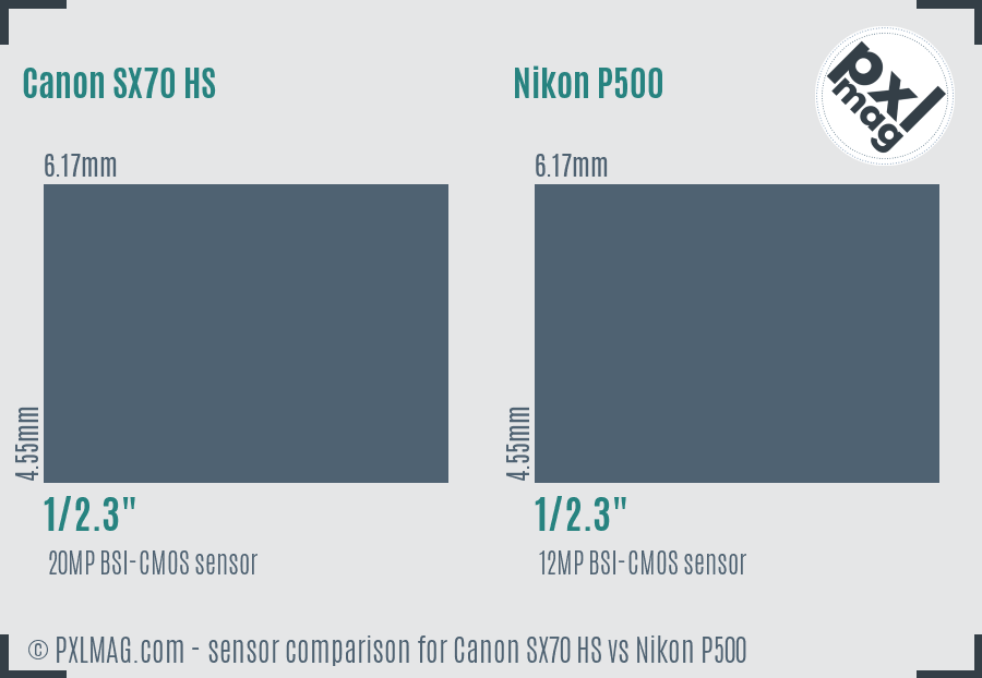 Canon SX70 HS vs Nikon P500 sensor size comparison