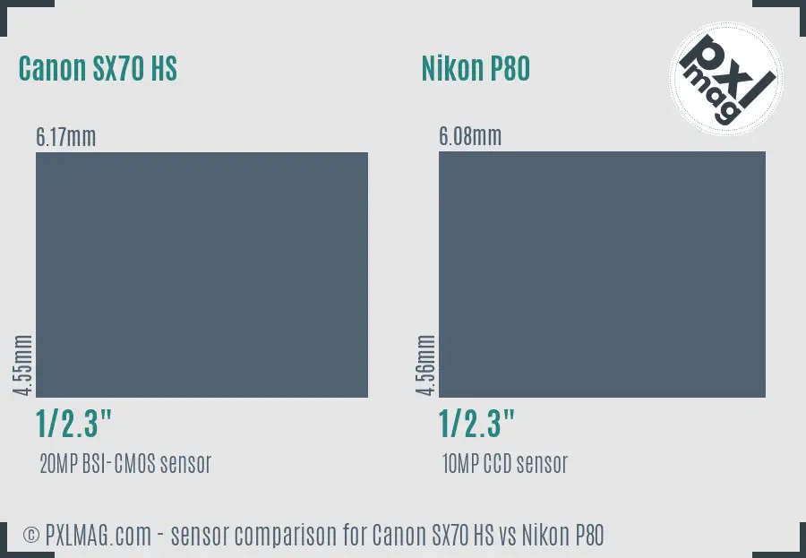 Canon SX70 HS vs Nikon P80 sensor size comparison