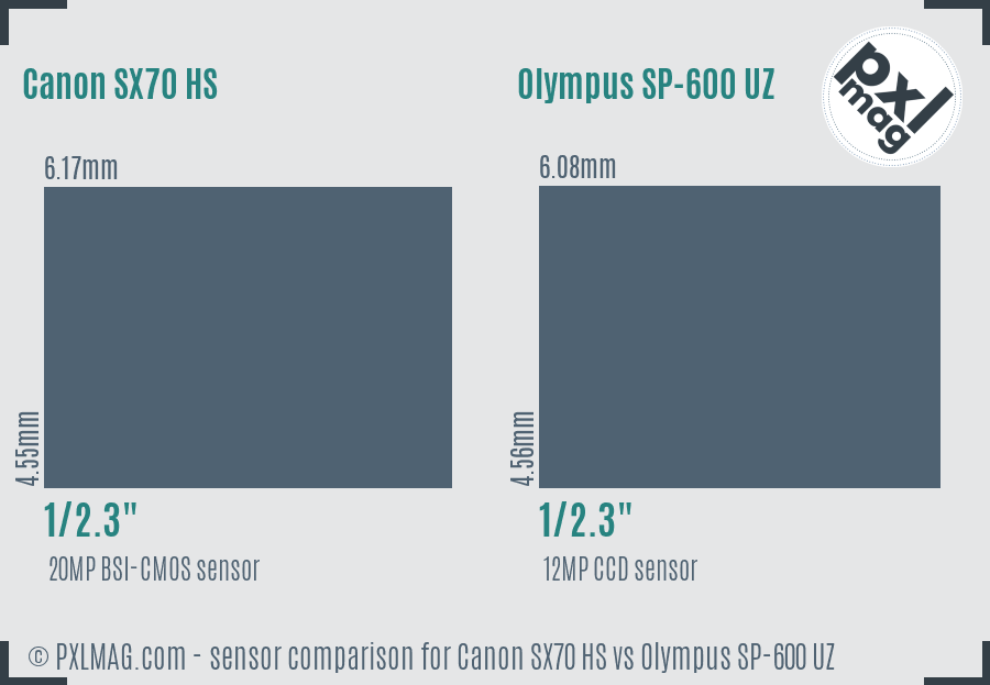 Canon SX70 HS vs Olympus SP-600 UZ sensor size comparison