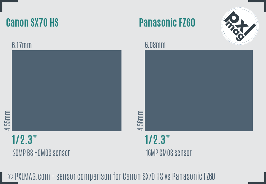 Canon SX70 HS vs Panasonic FZ60 sensor size comparison