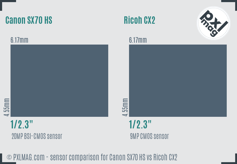 Canon SX70 HS vs Ricoh CX2 sensor size comparison