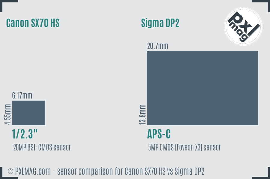Canon SX70 HS vs Sigma DP2 sensor size comparison