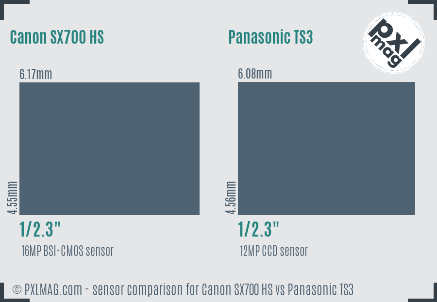 Canon SX700 HS vs Panasonic TS3 sensor size comparison