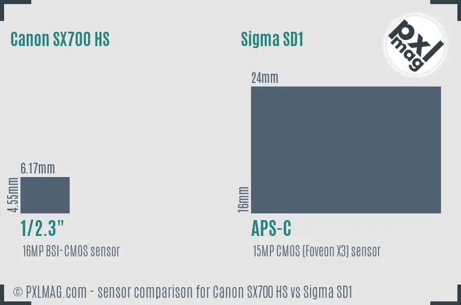 Canon SX700 HS vs Sigma SD1 sensor size comparison Canon SX700 HS vs Sigma SD1 sensor size comparison