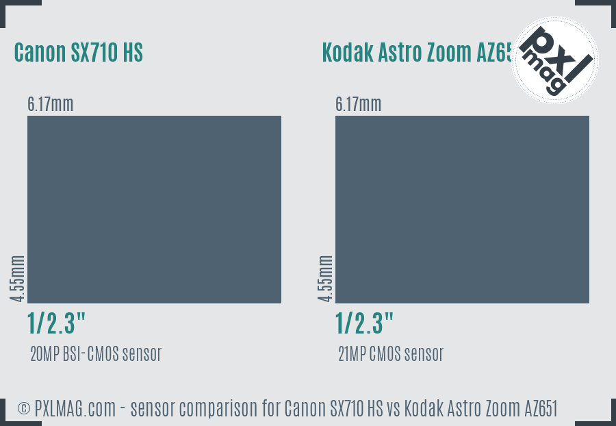 Canon SX710 HS vs Kodak Astro Zoom AZ651 sensor size comparison