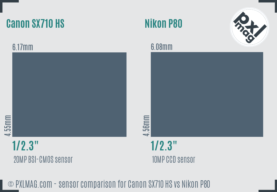 Canon SX710 HS vs Nikon P80 sensor size comparison