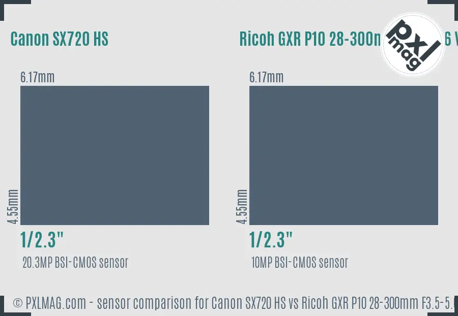 Sensor size and image quality comparison