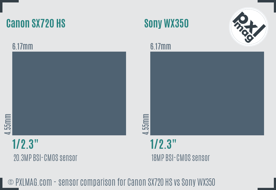Canon SX720 HS vs Sony WX350 sensor size comparison