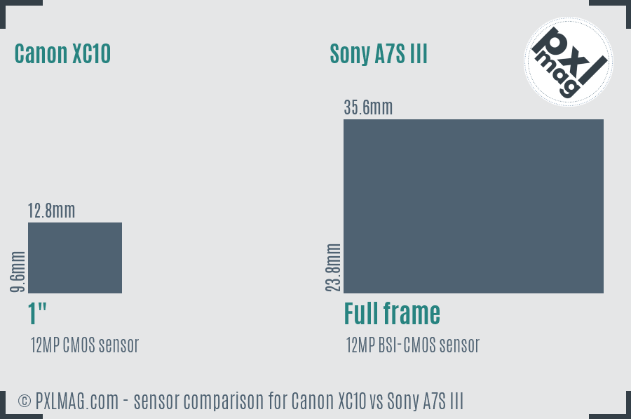 Canon XC10 vs Sony A7S III sensor size comparison