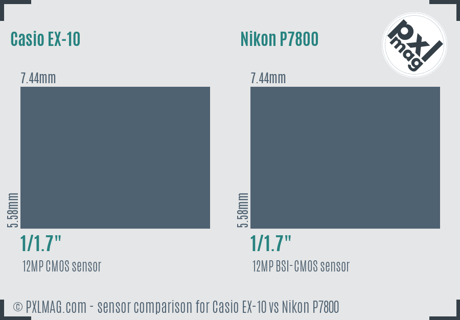 Casio EX-10 vs Nikon P7800 sensor size comparison