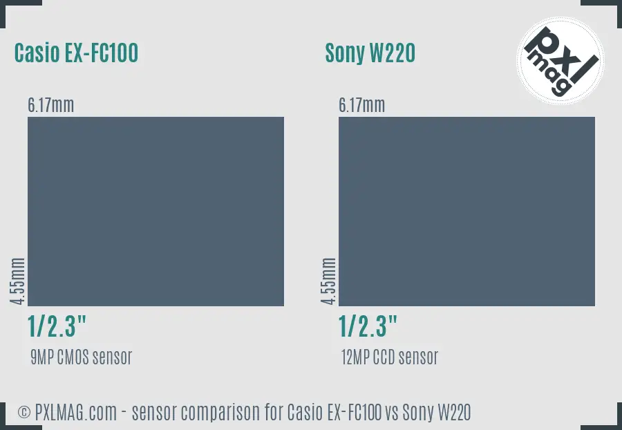 Casio EX-FC100 vs Sony W220 sensor size comparison