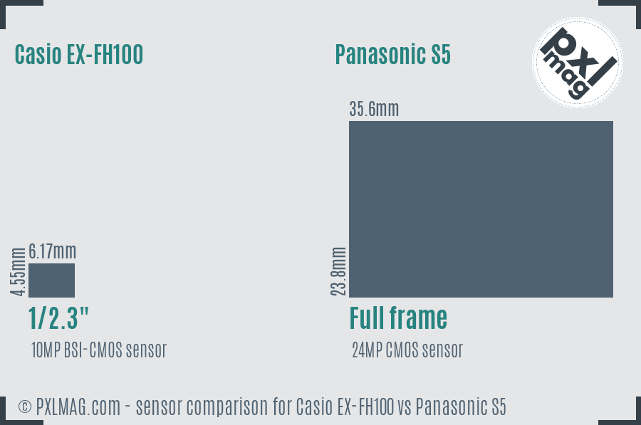 Casio EX-FH100 vs Panasonic S5 sensor size comparison