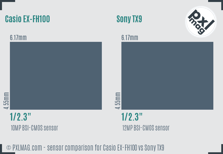 Casio EX-FH100 vs Sony TX9 sensor size comparison