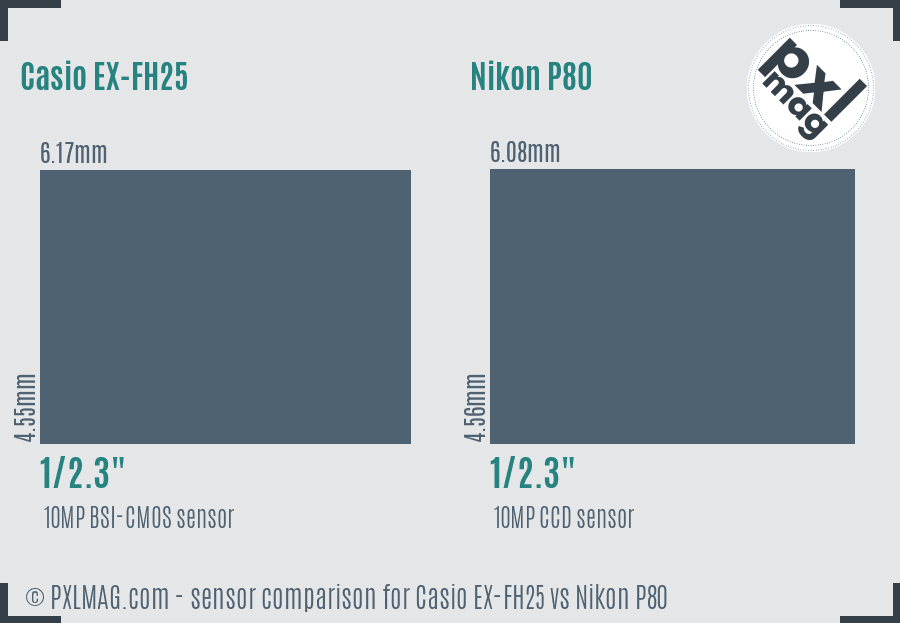 Casio EX-FH25 vs Nikon P80 sensor size comparison