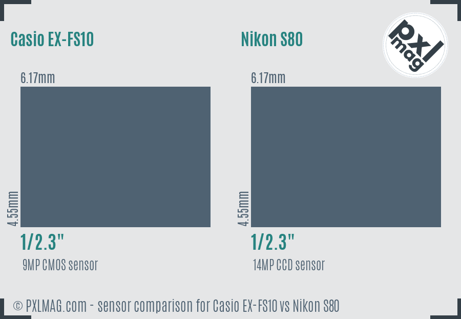 Casio EX-FS10 vs Nikon S80 sensor size comparison
