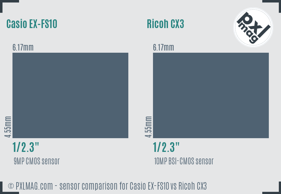 Casio EX-FS10 vs Ricoh CX3 sensor size comparison