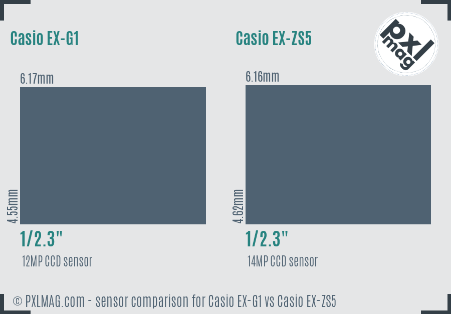 Casio EX-G1 vs Casio EX-ZS5 sensor size comparison