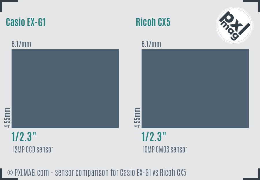 Casio EX-G1 vs Ricoh CX5 sensor size comparison