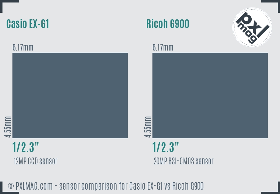 Casio EX-G1 vs Ricoh G900 sensor size comparison