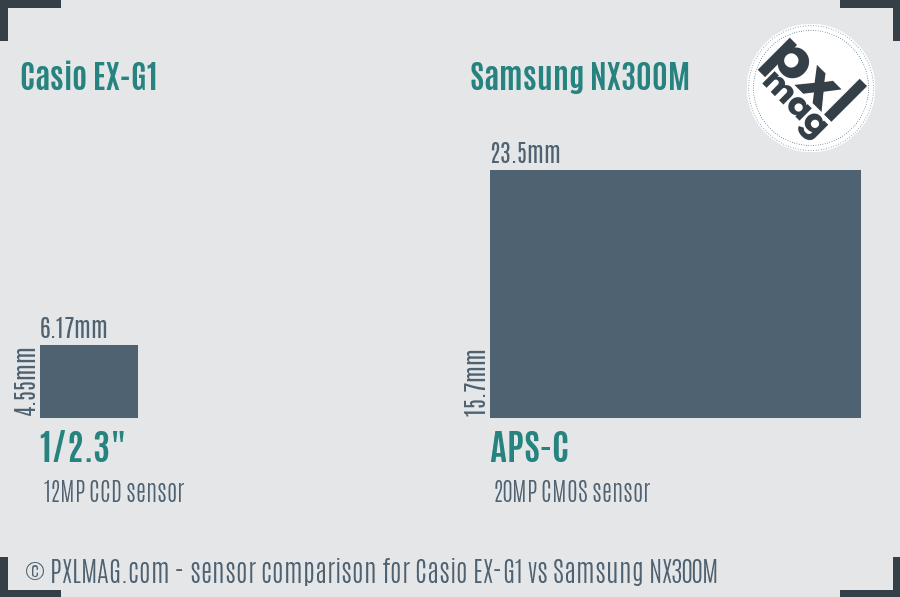 Casio EX-G1 vs Samsung NX300M sensor size comparison Casio EX-G1 vs Samsung NX300M sensor size comparison