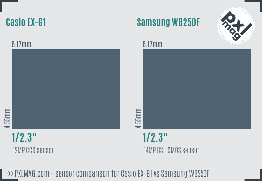 Casio EX-G1 vs Samsung WB250F sensor size comparison