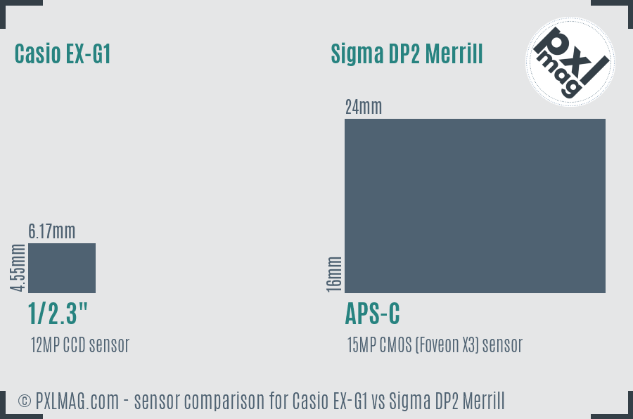 Casio EX-G1 vs Sigma DP2 Merrill sensor size comparison