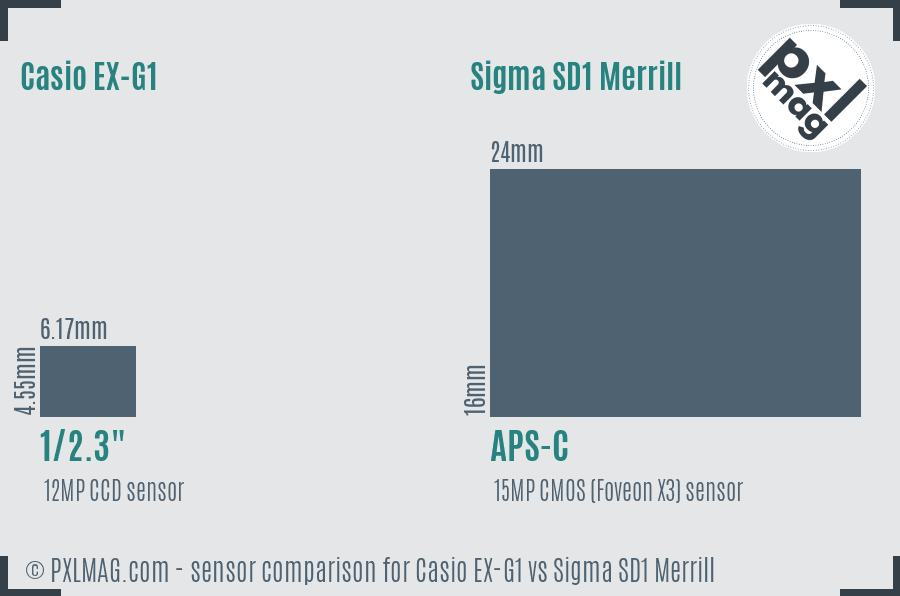 Casio EX-G1 vs Sigma SD1 Merrill sensor size comparison