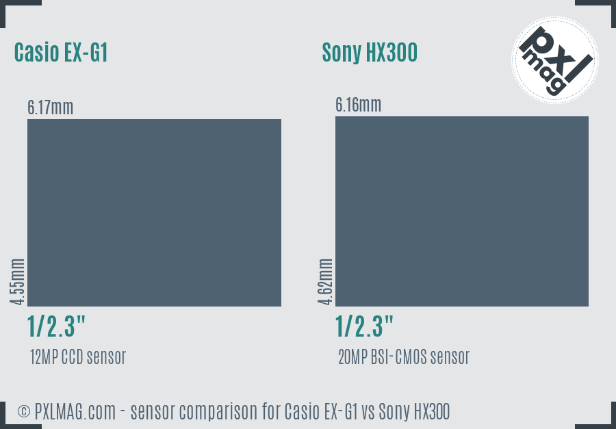 Casio EX-G1 vs Sony HX300 sensor size comparison